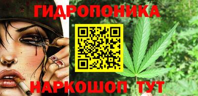 прущий лед Обь
