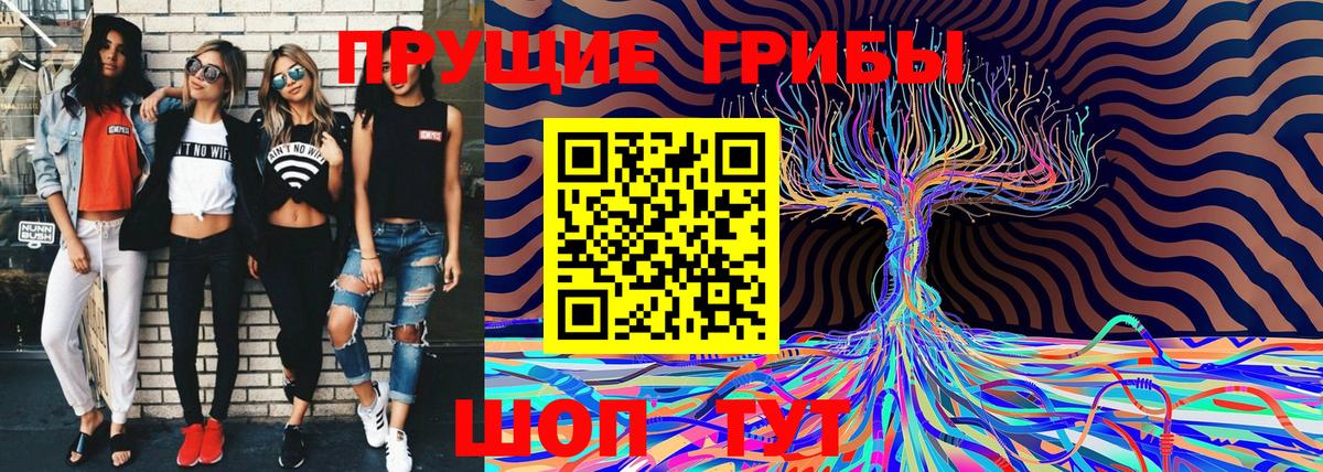 Благовещенск  Галлюциногенные грибы Magic Shrooms  дарнет шоп  Вход с VPN 