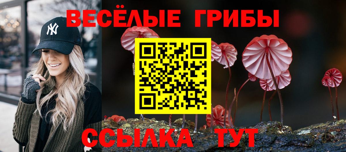 Галлюциногенные грибы Psilocybine cubensis Благовещенск